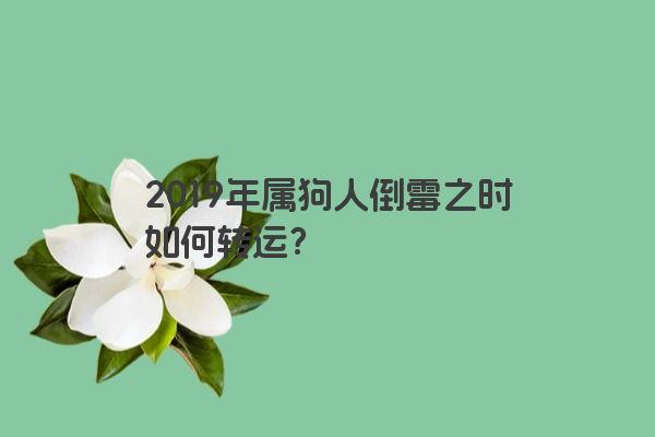 2019年属狗人倒霉之时如何转运？