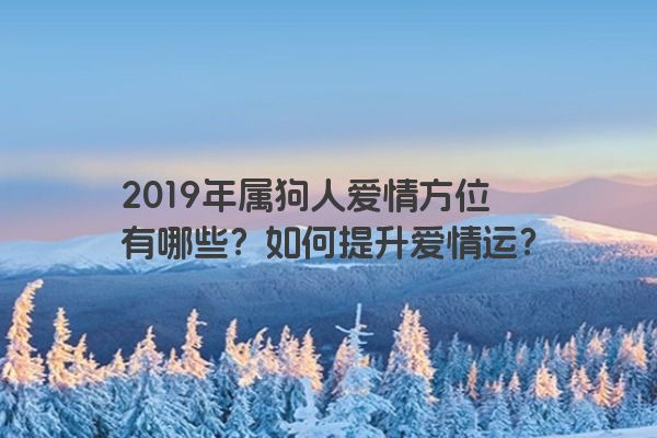 2019年属狗人爱情方位有哪些？如何提升爱情运？