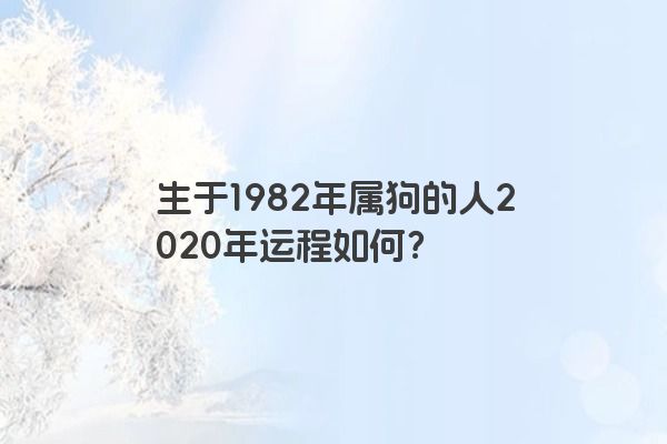 生于1982年属狗的人2020年运程如何？