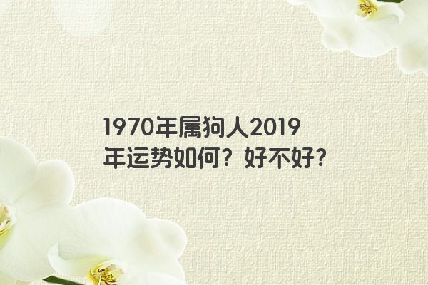 1970年属狗人2019年运势如何？好不好？