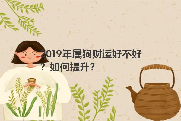 2019年属狗财运好不好？如何提升？