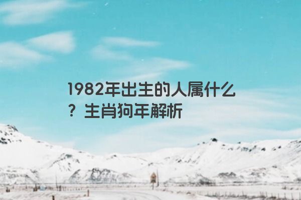 1982年出生的人属什么？生肖狗年解析