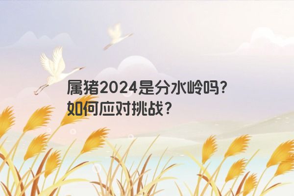 属猪2024是分水岭吗？如何应对挑战？