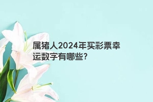 属猪人2024年买彩票幸运数字有哪些？