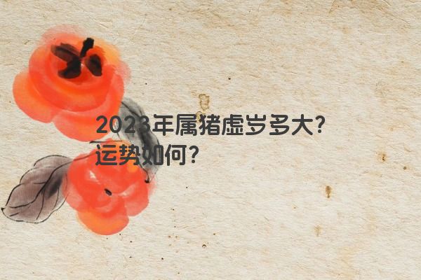 2023年属猪虚岁多大？运势如何？