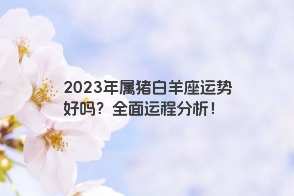 2023年属猪白羊座运势好吗？全面运程分析！