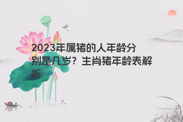 2023年属猪的人年龄分别是几岁？生肖猪年龄表解析