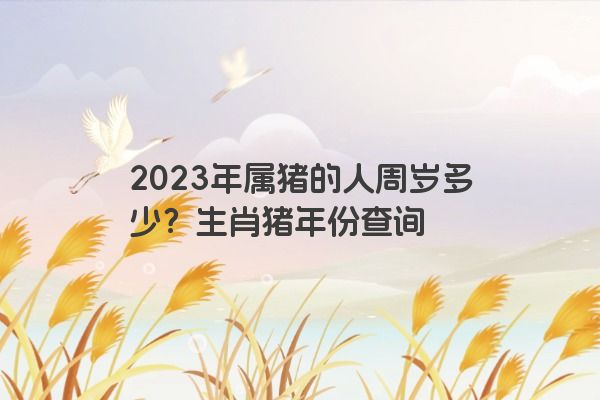 2023年属猪的人周岁多少？生肖猪年份查询