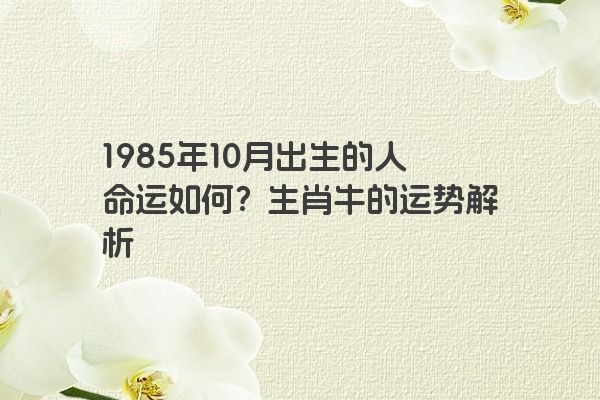 1985年10月出生的人命运如何？生肖牛的运势解析