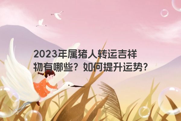 2023年属猪人转运吉祥物有哪些？如何提升运势？