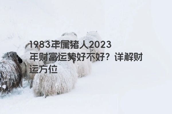 1983年属猪人2023年财富运势好不好？详解财运方位