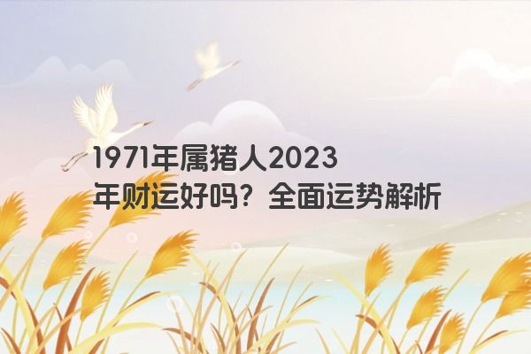 1971年属猪人2023年财运好吗？全面运势解析