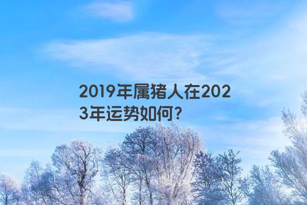 2019年属猪人在2023年运势如何？