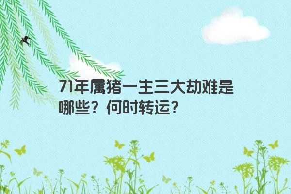 71年属猪一生三大劫难是哪些？何时转运？