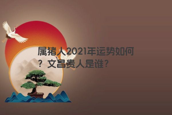 属猪人2021年运势如何？文昌贵人是谁？