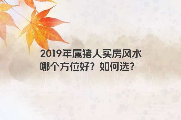 2019年属猪人买房风水哪个方位好？如何选？