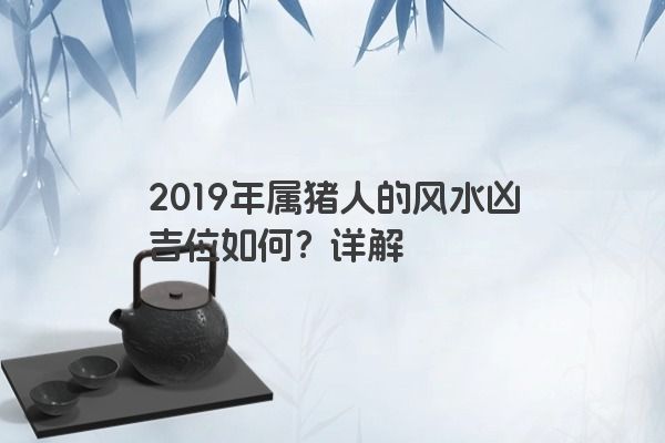 2019年属猪人的风水凶吉位如何？详解