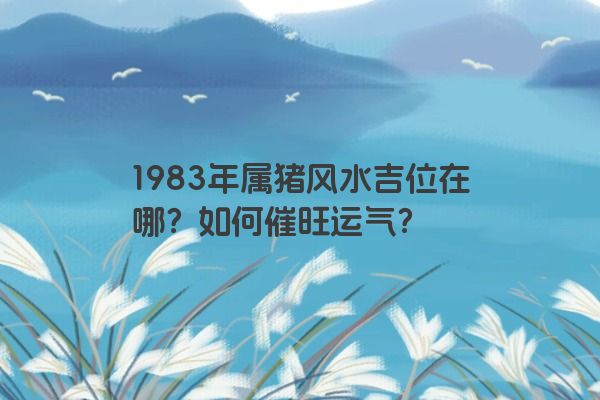 1983年属猪风水吉位在哪？如何催旺运气？