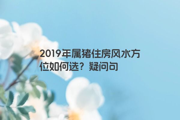 2019年属猪住房风水方位如何选？疑问句