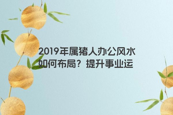 2019年属猪人办公风水如何布局？提升事业运