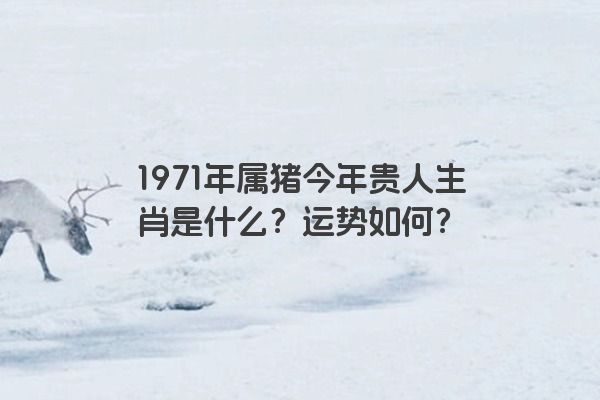 1971年属猪今年贵人生肖是什么？运势如何？