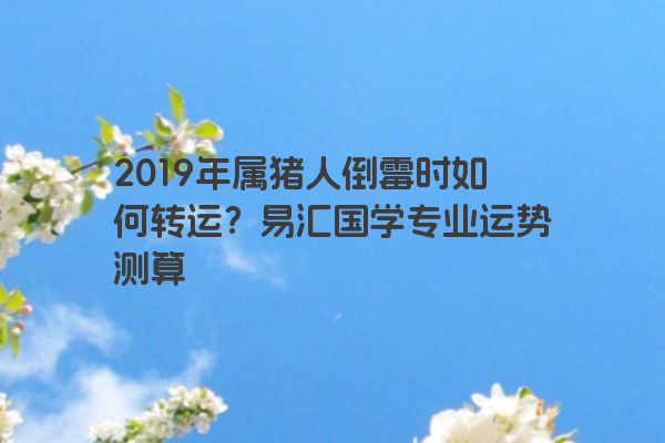 2019年属猪人倒霉时如何转运？易汇国学专业运势测算