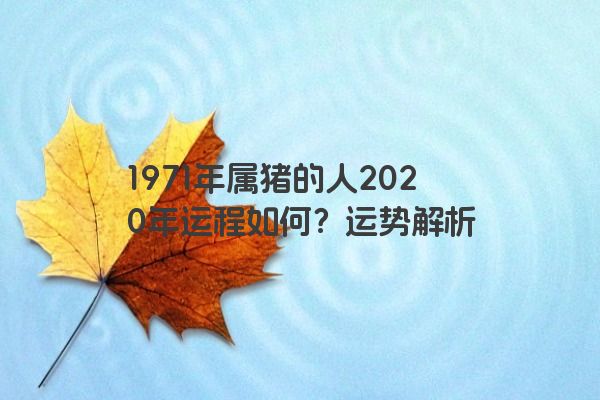 1971年属猪的人2020年运程如何？运势解析