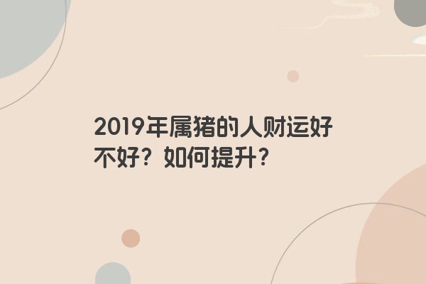 2019年属猪的人财运好不好？如何提升？