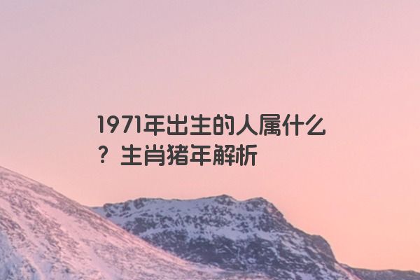 1971年出生的人属什么？生肖猪年解析