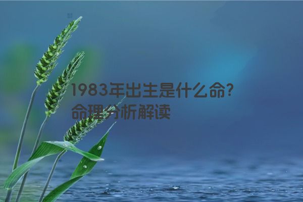 1983年出生是什么命？命理分析解读