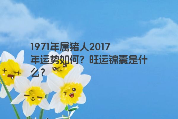 1971年属猪人2017年运势如何？旺运锦囊是什么？