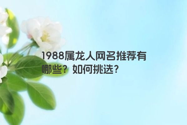 1988属龙人网名推荐有哪些？如何挑选？