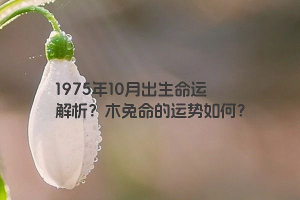 1975年10月出生命运解析？木兔命的运势如何？