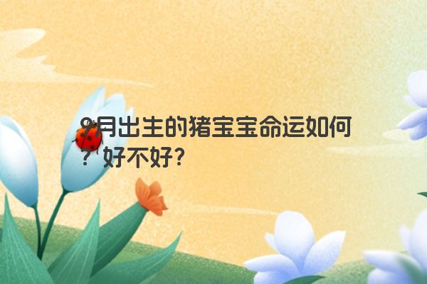 9月出生的猪宝宝命运如何？好不好？