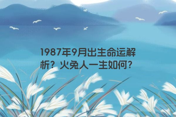 1987年9月出生命运解析？火兔人一生如何？