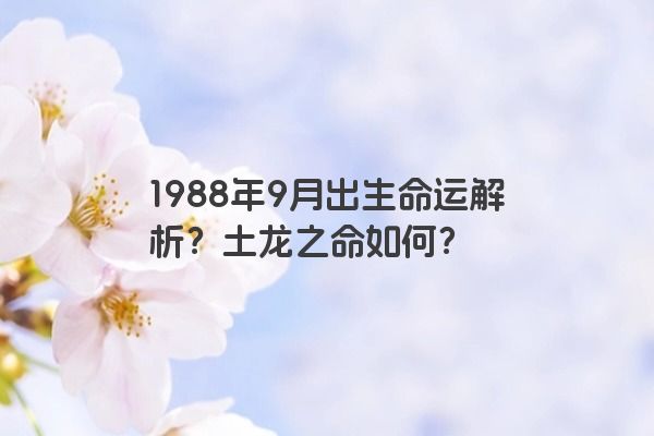 1988年9月出生命运解析？土龙之命如何？