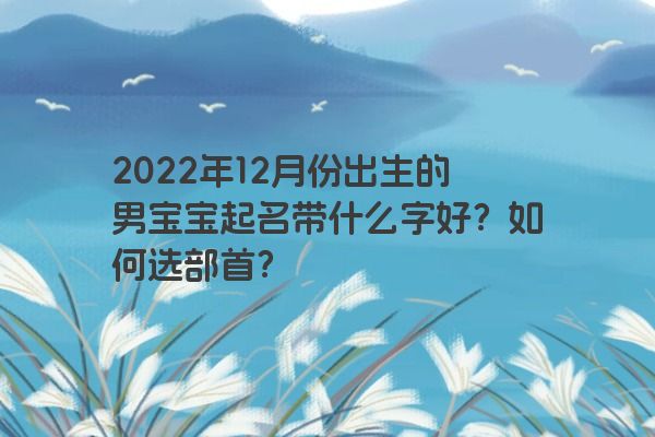 2022年12月份出生的男宝宝起名带什么字好？如何选部首？