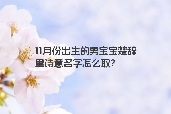 11月份出生的男宝宝楚辞里诗意名字怎么取？