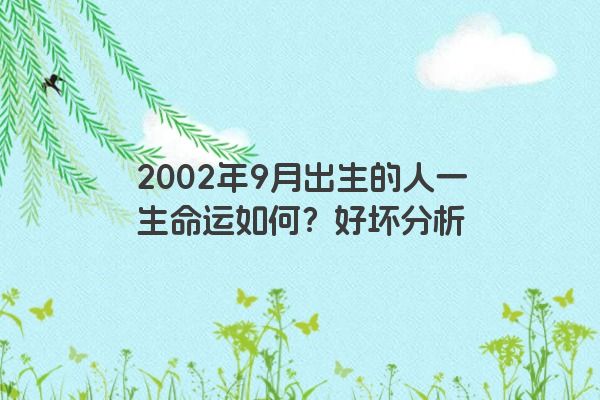 2002年9月出生的人一生命运如何？好坏分析