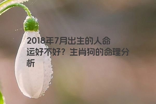 2018年7月出生的人命运好不好？生肖狗的命理分析