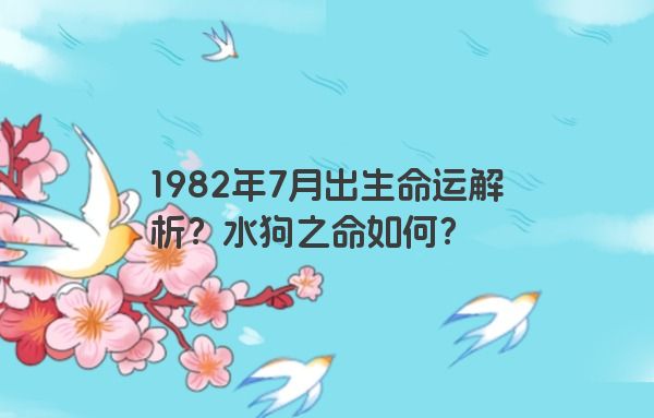 1982年7月出生命运解析？水狗之命如何？