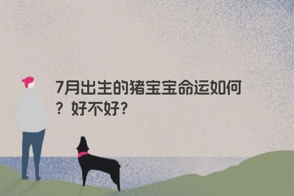 7月出生的猪宝宝命运如何？好不好？