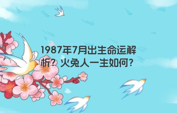 1987年7月出生命运解析？火兔人一生如何？