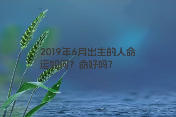 2019年6月出生的人命运如何？命好吗？