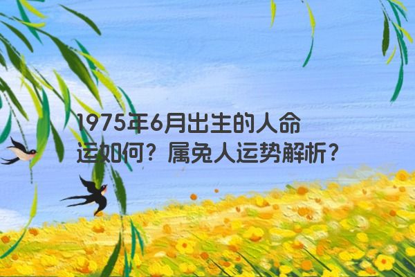 1975年6月出生的人命运如何？属兔人运势解析？