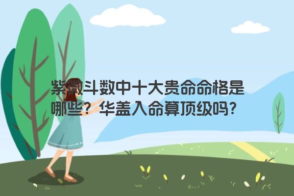 紫微斗数中十大贵命命格是哪些？华盖入命算顶级吗？