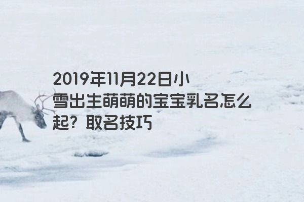 2019年11月22日小雪出生萌萌的宝宝乳名怎么起？取名技巧