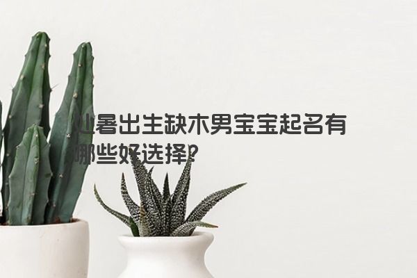 处暑出生缺木男宝宝起名有哪些好选择？