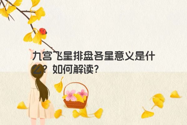 九宫飞星排盘各星意义是什么？如何解读？