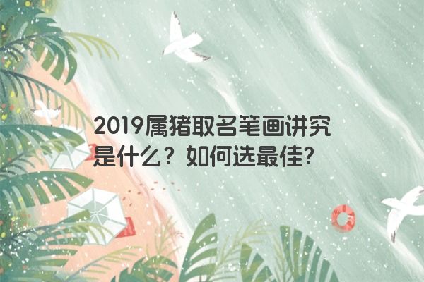 2019属猪取名笔画讲究是什么？如何选最佳？